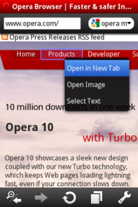 mini5-screenshot1-300x450